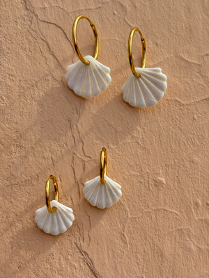 Shell Hoops
