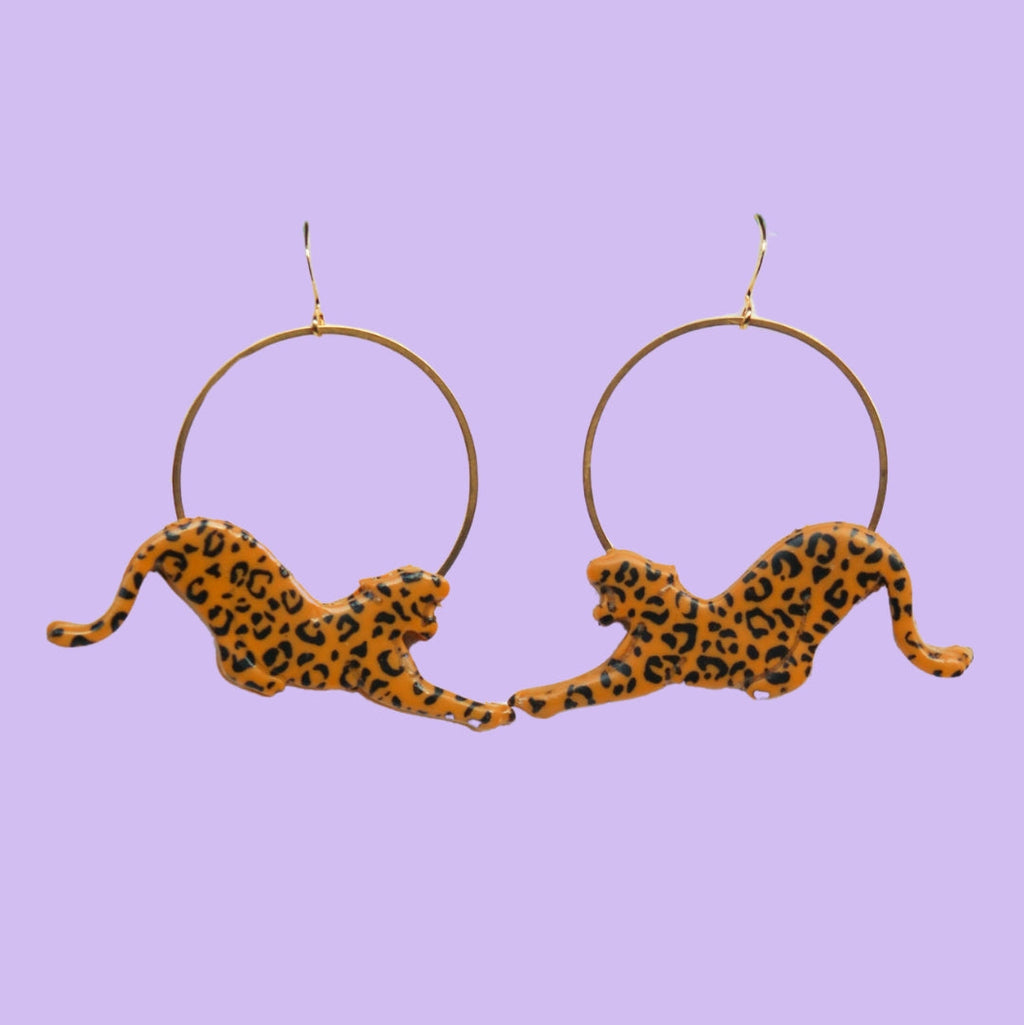 Leo Hoops